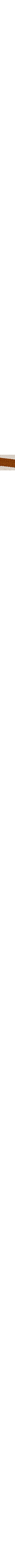 Brun à motifs