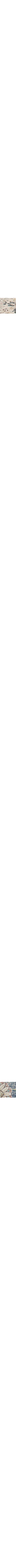 Blanc à motifs