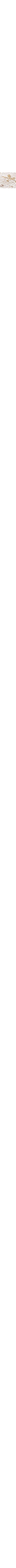 Blanc cassé