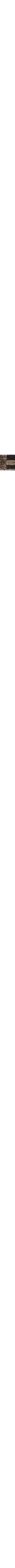 Brun à motifs