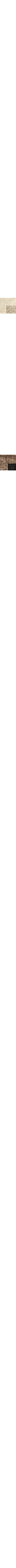 Brun à motifs