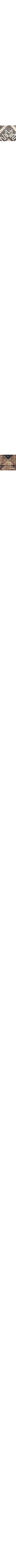 Gris à motifs