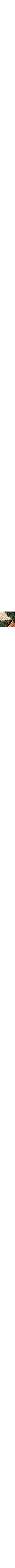 Vert à motifs