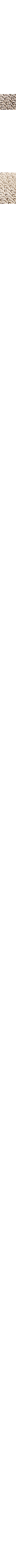 Blanc cassé