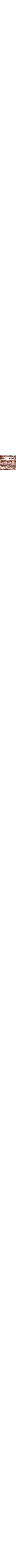 Brun à motifs