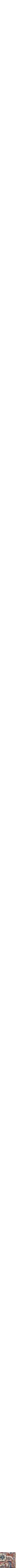 Assorti