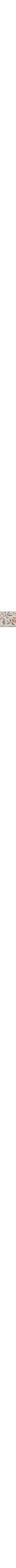 Vert à motifs