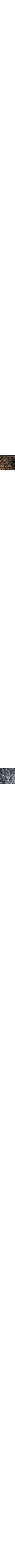 Bleu à motifs