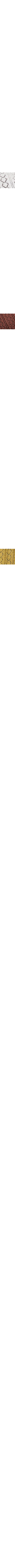 Blanc cassé