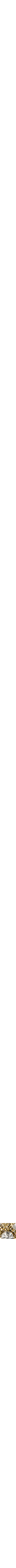 Assorti