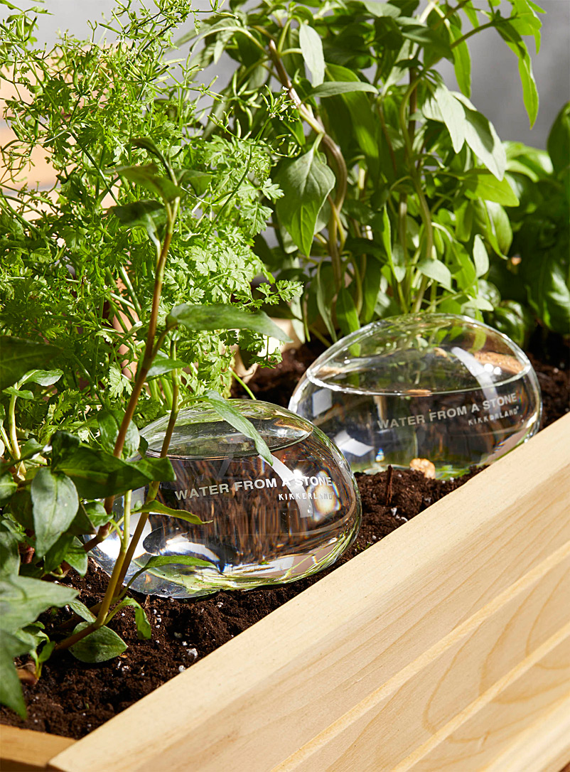 Simons Maison: Les bulles d'arrosage pour plantes en pot Ensemble de 2 Assorti