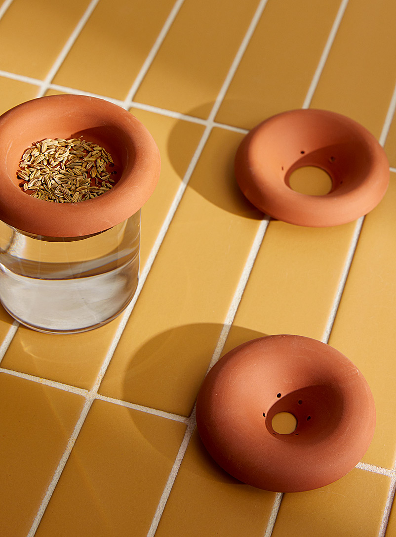 Simons Maison Amber Bronze Round terracotta seed trays Set of 3