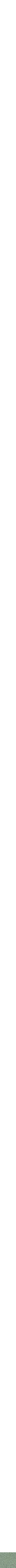 Assorti