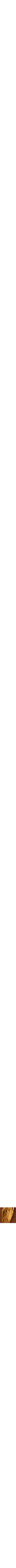 Or