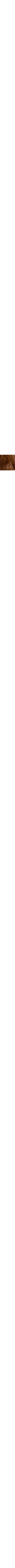 Brun à motifs