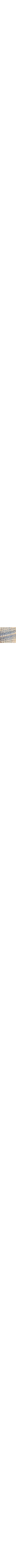Beige à motifs