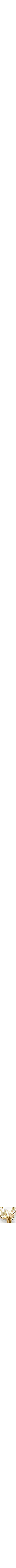 Or