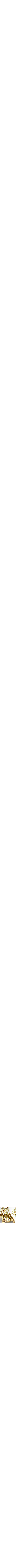 Or