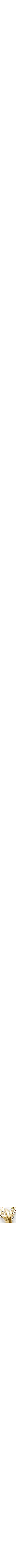 Or