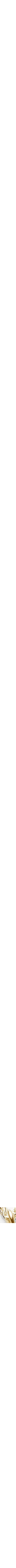 Or