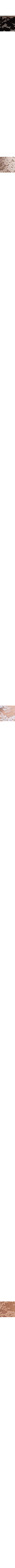 Pêche