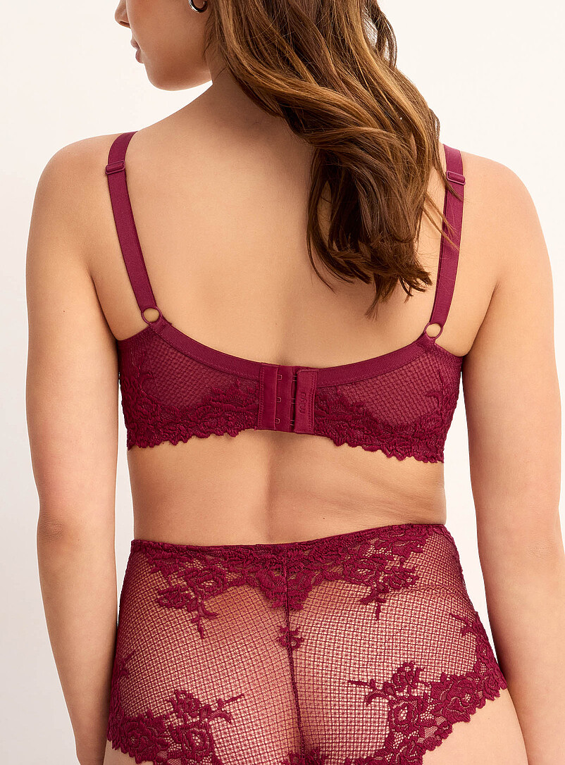 Orion sheer lace full-coverage bra product image 2