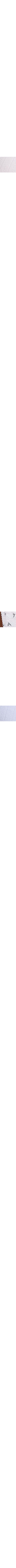 Assorted white