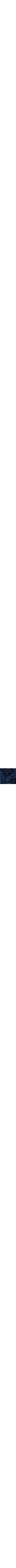Patterned Blue