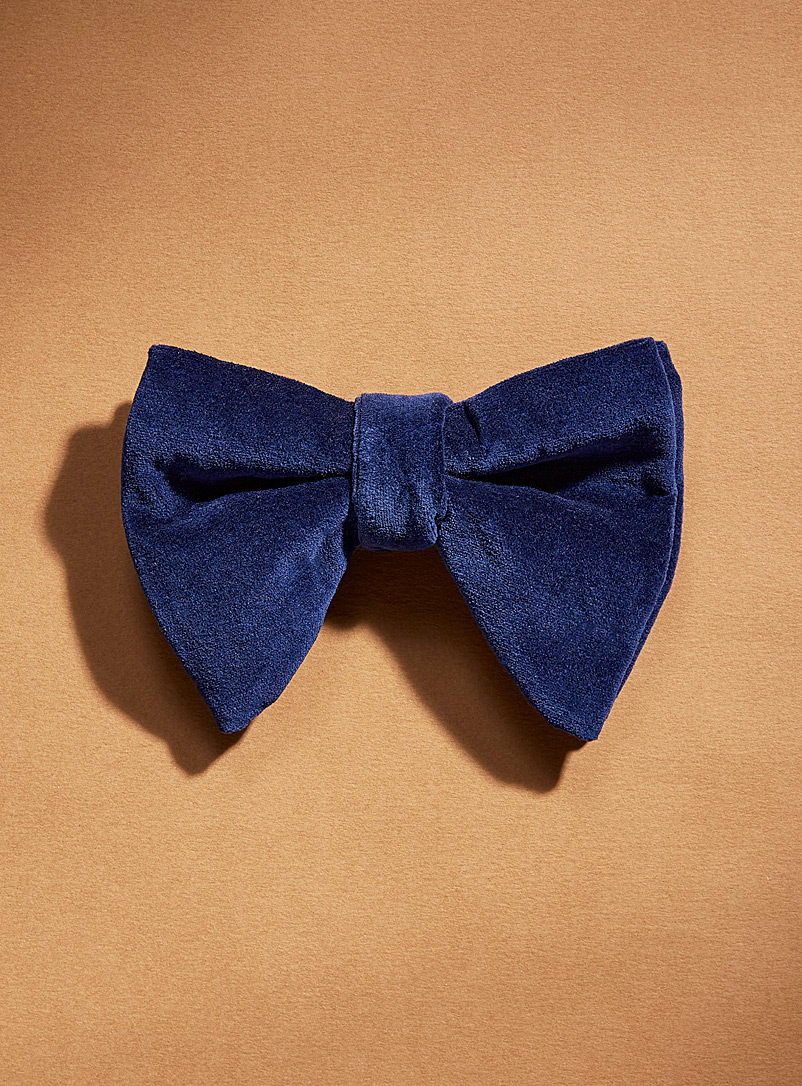 Coo-Mon Blue Butterfly bow tie