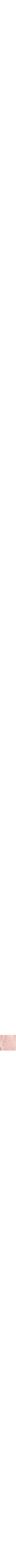 Vieux rose