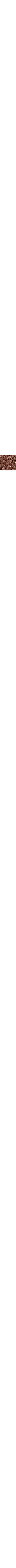 Brun à motifs