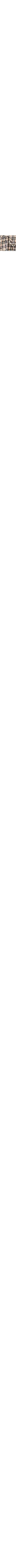Patterned Ecru