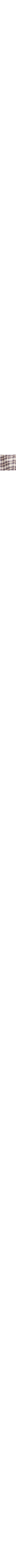 Brun à motifs