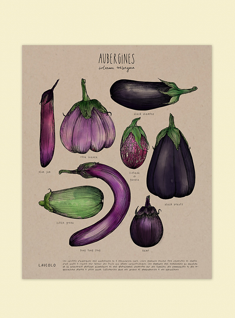 Laucolo Kraft - English Eggplants art print 11 x 14 in