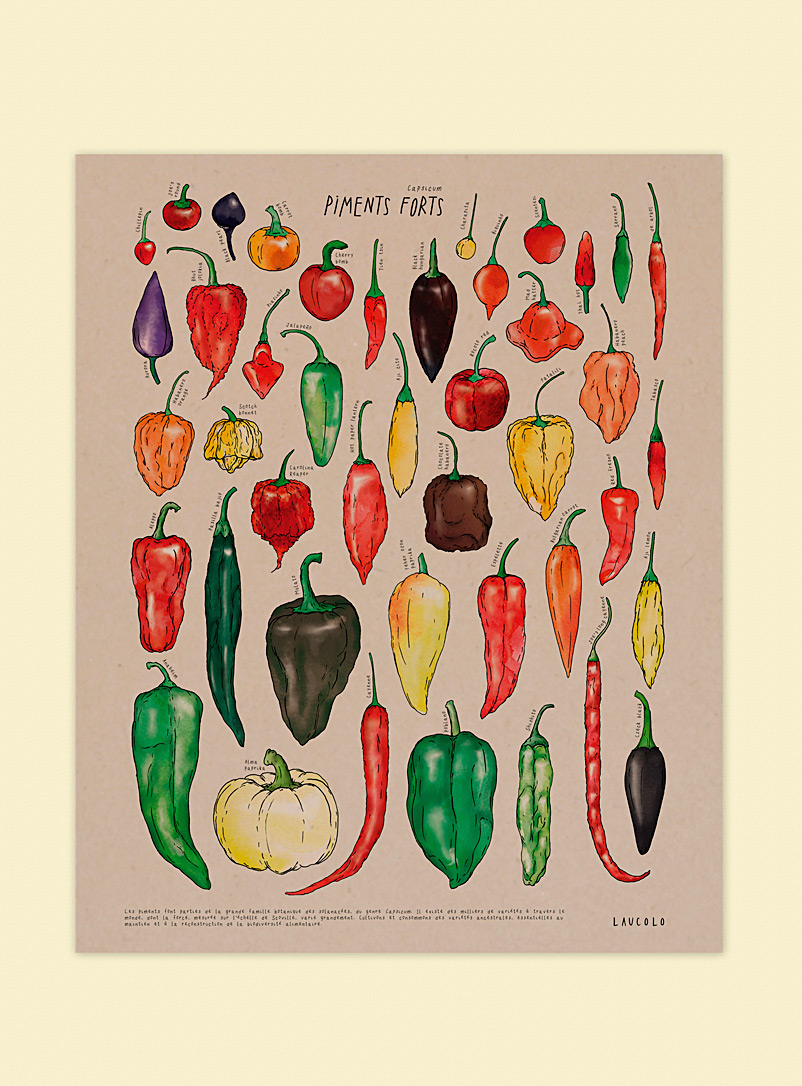 Laucolo Kraft - French Hot peppers art print 11 x 14 in