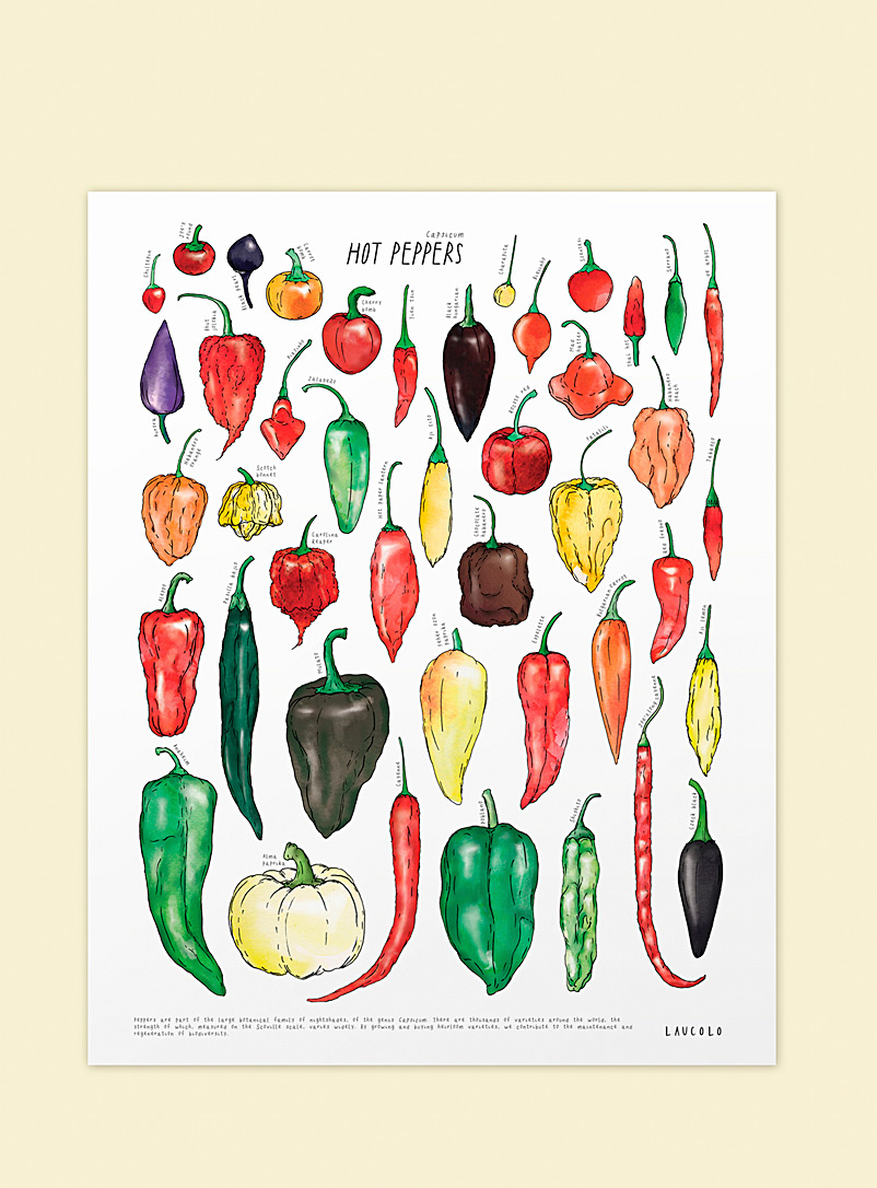 Laucolo White - English Hot peppers art print 11 x 14 in