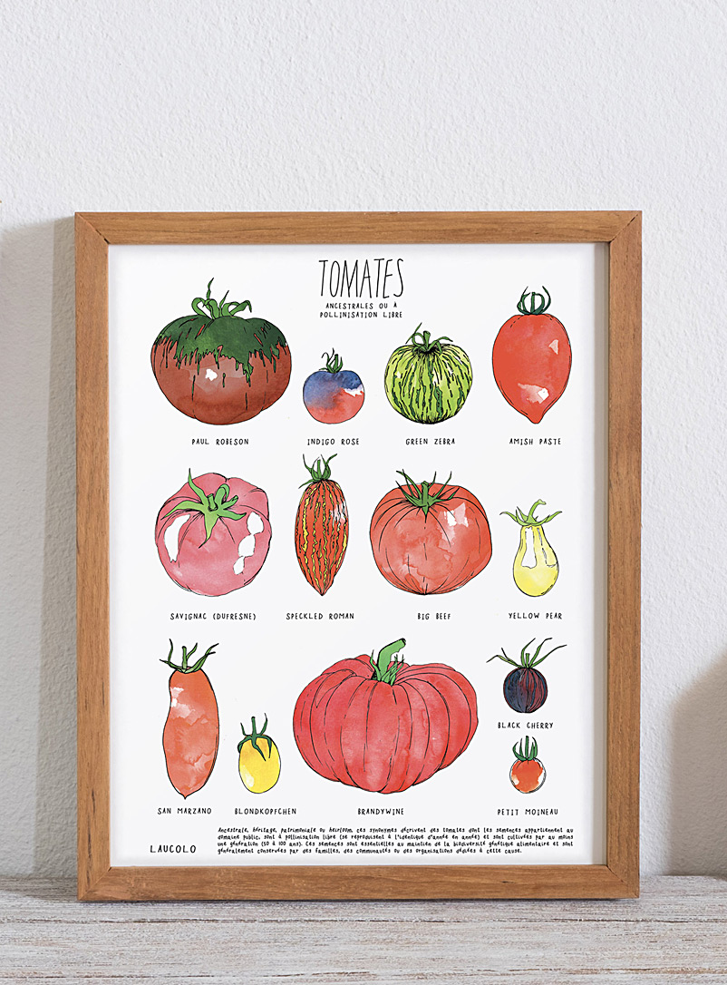 Laucolo: L'affiche Tomates ancestrales 11 x 14 po Blanc - français