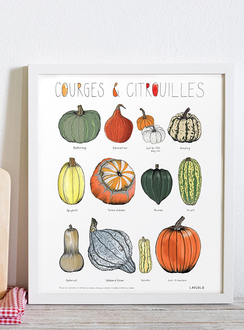 Laucolo White - English Squashes & pumpkins art print 11 x 14 in