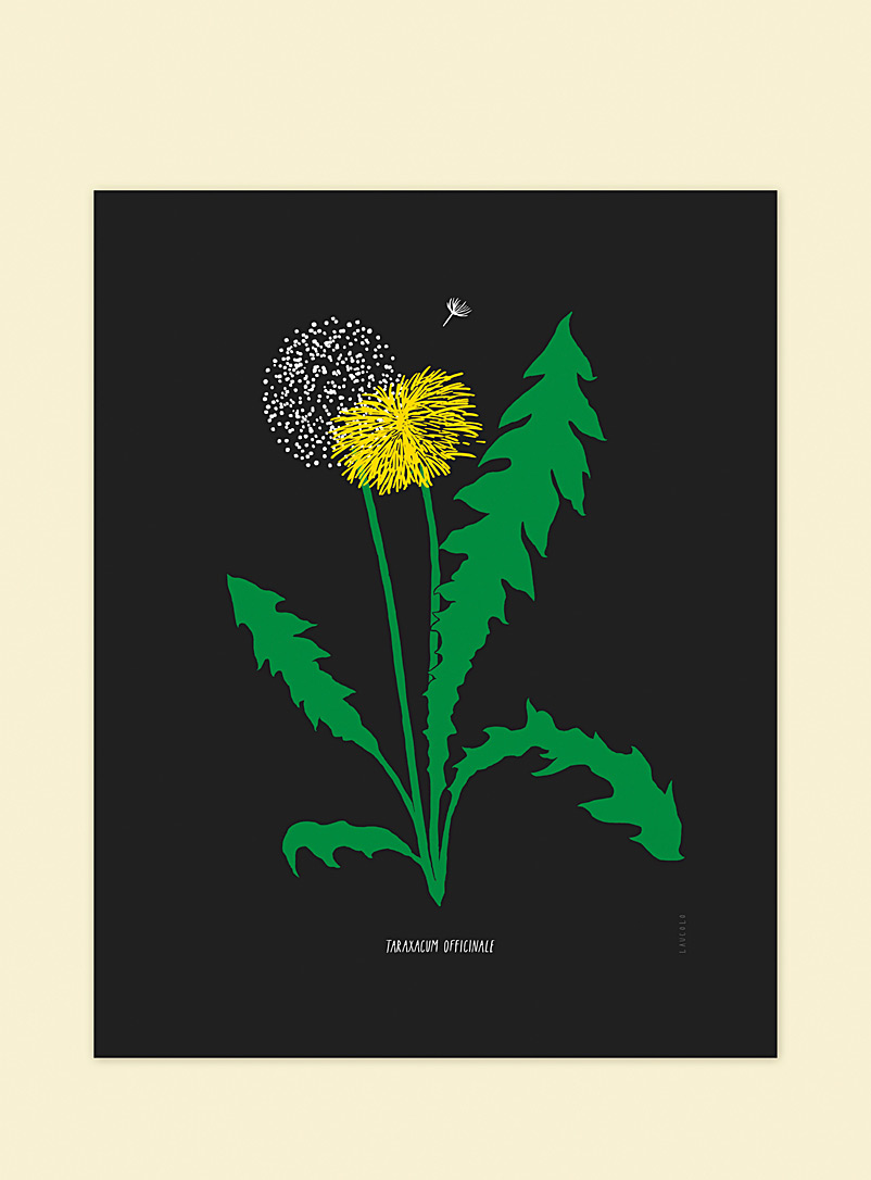 Laucolo Dark Yellow Common dandelion art print Single or as a trio