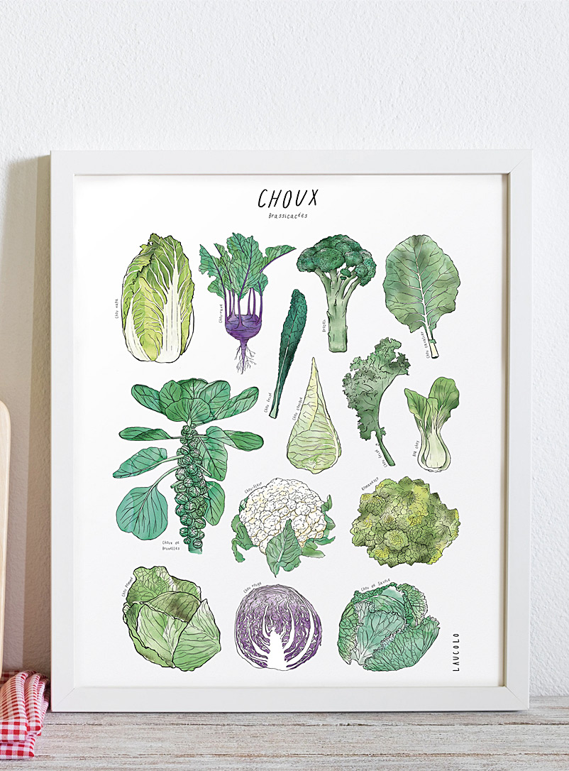 Laucolo Assorted white  Cabbages art print 11 x 14 in