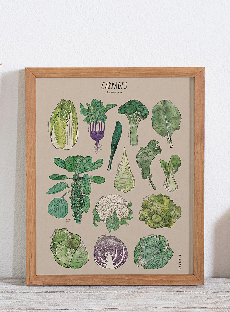 Laucolo Assorted brown Cabbages art print 11 x 14 in
