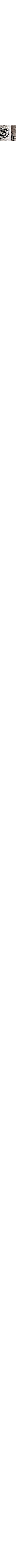 Gris à motifs
