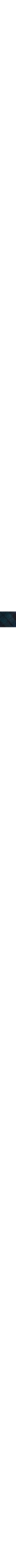 Vert à motifs