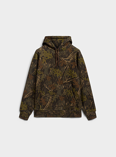 Le kangourou camo for&ecirc;t
