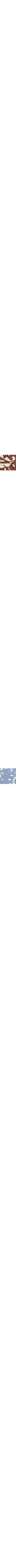 Brun à motifs