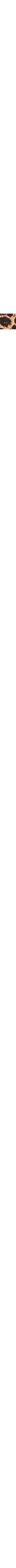 Brun