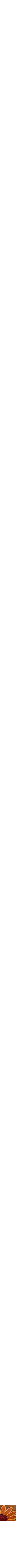 Assorti
