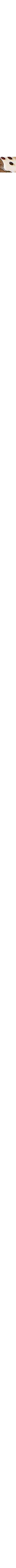 Clear