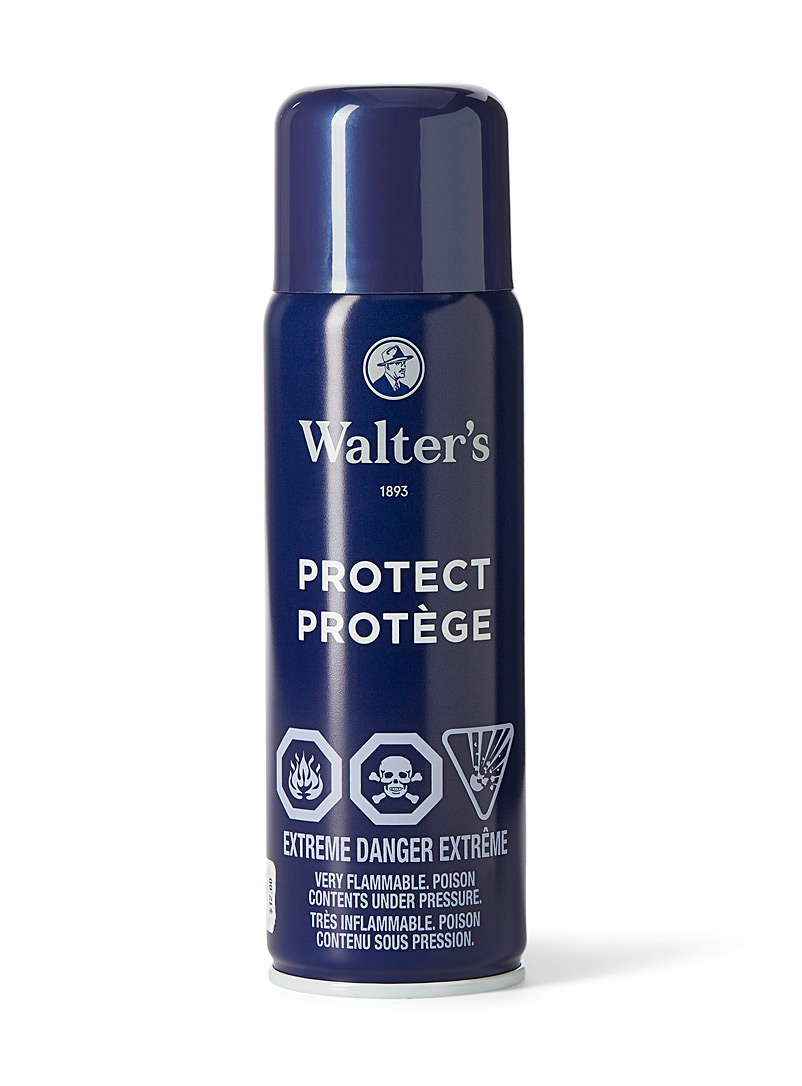Walter's Blue Shoe protector for women
