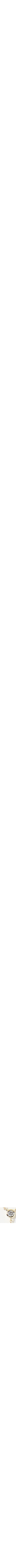 Assorti